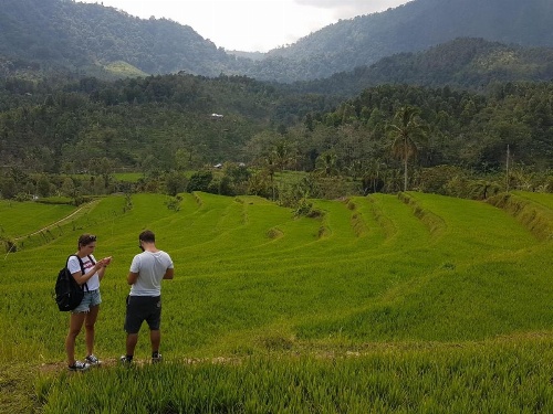 The Kubu Galungan image 10