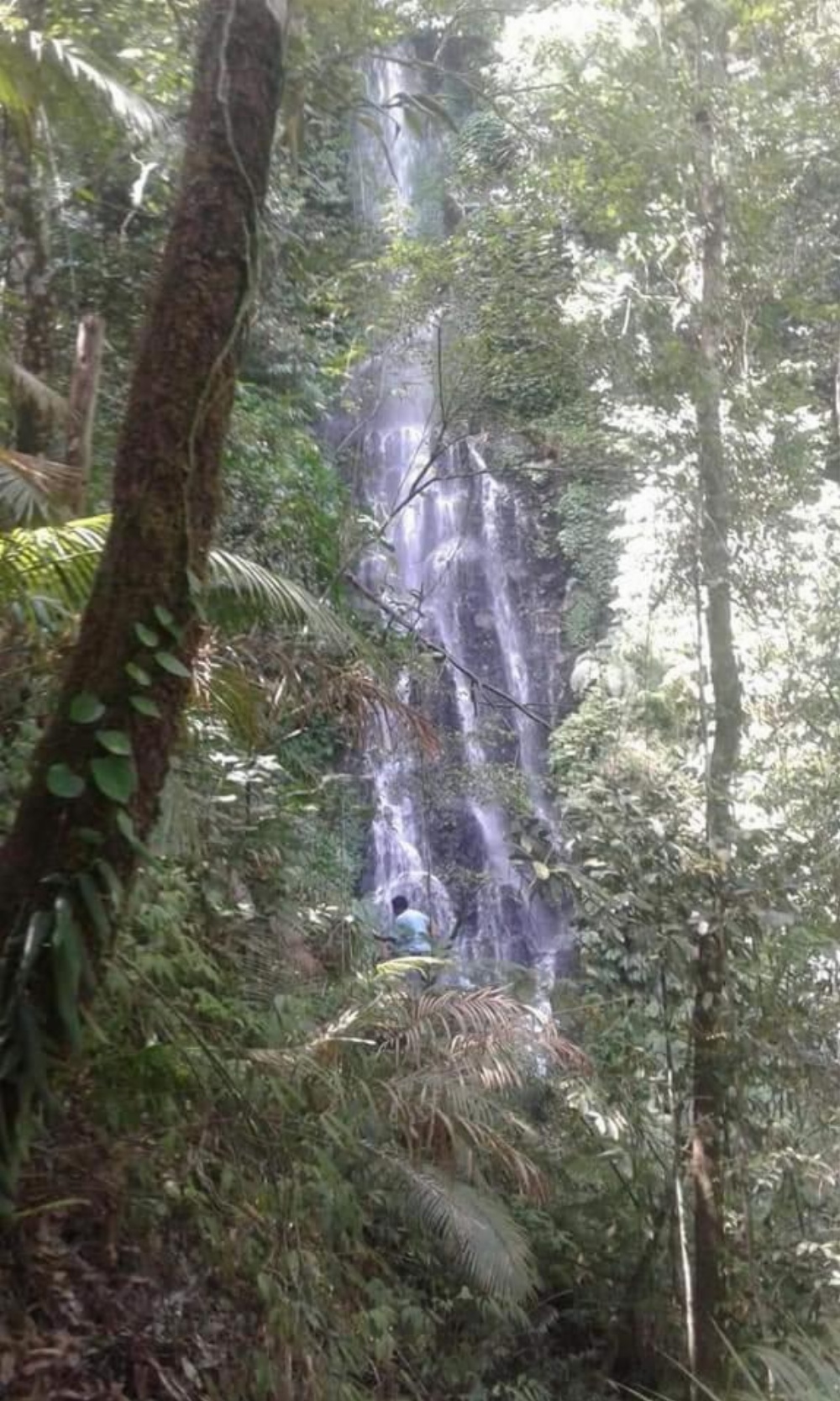 The Kubu Galungan Image 18