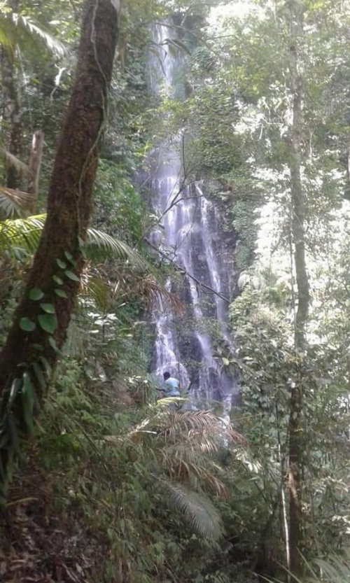 The Kubu Galungan image 18