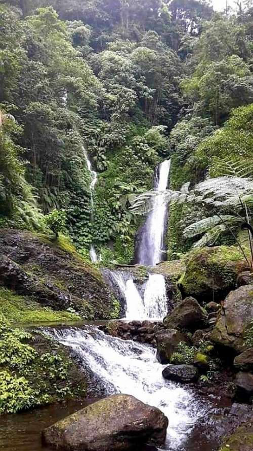 The Kubu Galungan image 22