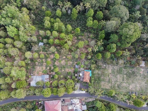 The Kubu Galungan image 25