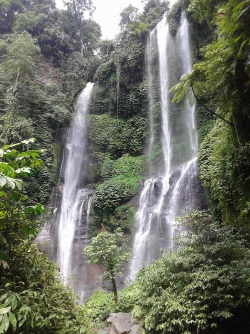 The Kubu Galungan image 29