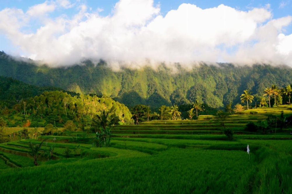 The Kubu Galungan Image 31