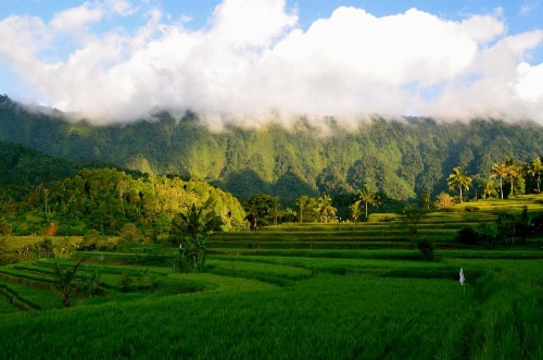 The Kubu Galungan image 31