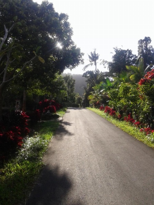 The Kubu Galungan image 39