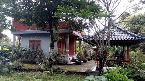 The Kubu Galungan image 48